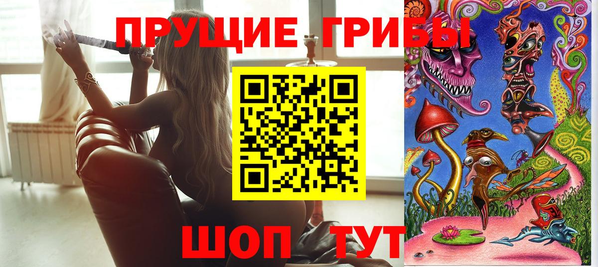 Зима  купить закладку  Вход с VPN  Галлюциногенные грибы мицелий 